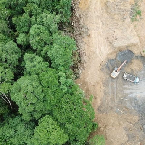 aerial view of forest and construction vehicles